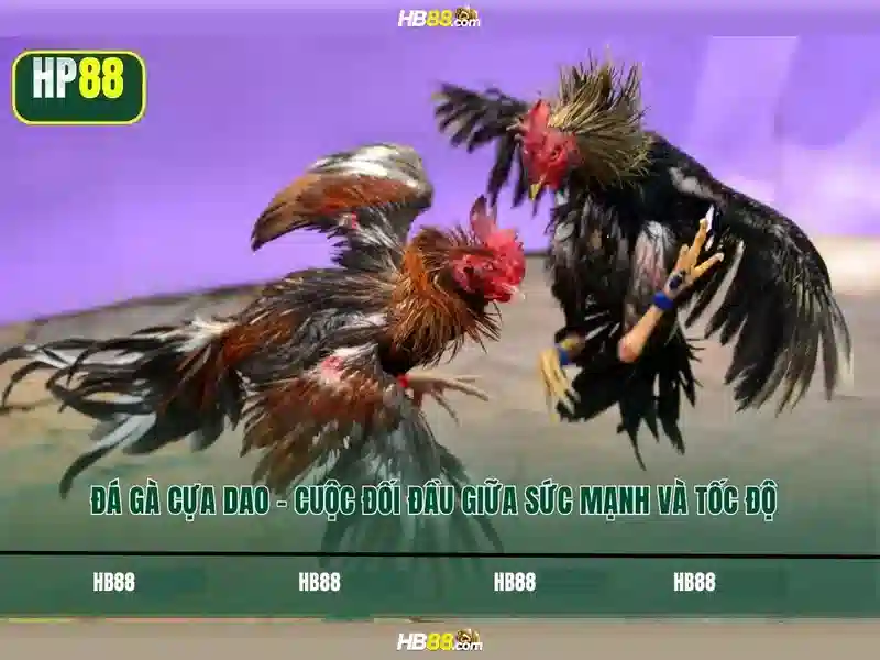 Chương Trình Thưởng Hấp Dẫn Trên HB88