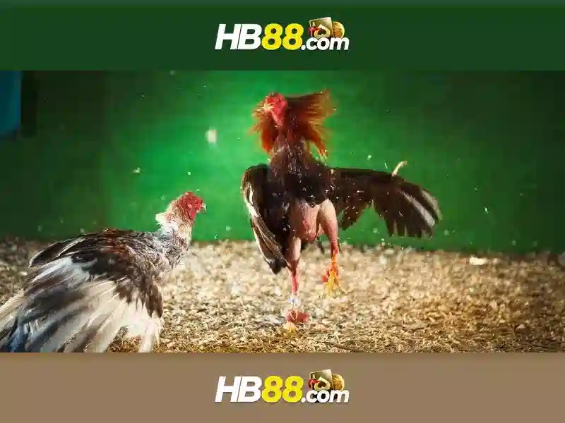 HB88 - Link Vào Trang Chủ HB88 Chính Thức Không Bị Chặn 2026