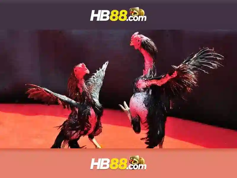 HB88 trang chủ