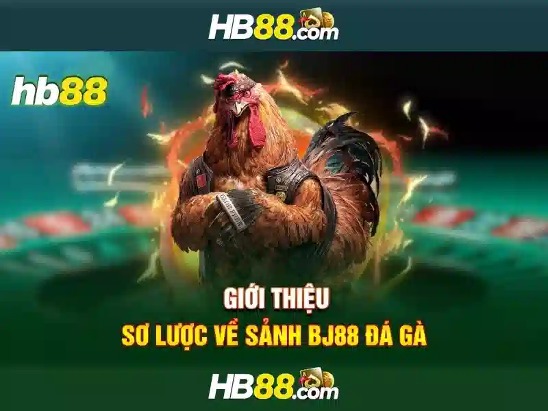Hỗ trợ khách hàng HB88