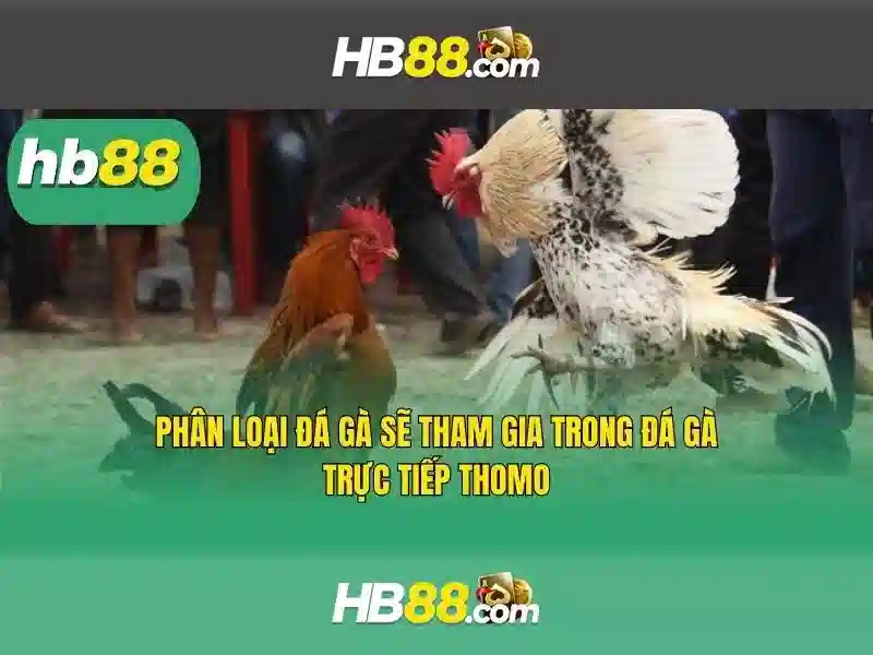 Trải Nghiệm Slot 3D