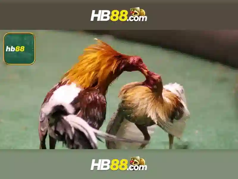 Trải nghiệm slot đỉnh cao