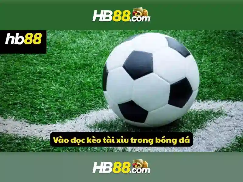 HB88 cá cược trực tuyến