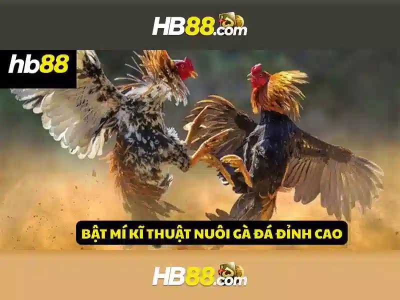 Bắn Cá