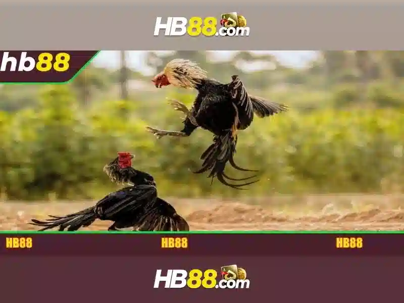 Lý Do Chọn HB88
