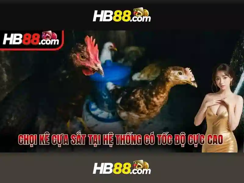 Trải nghiệm đa dạng