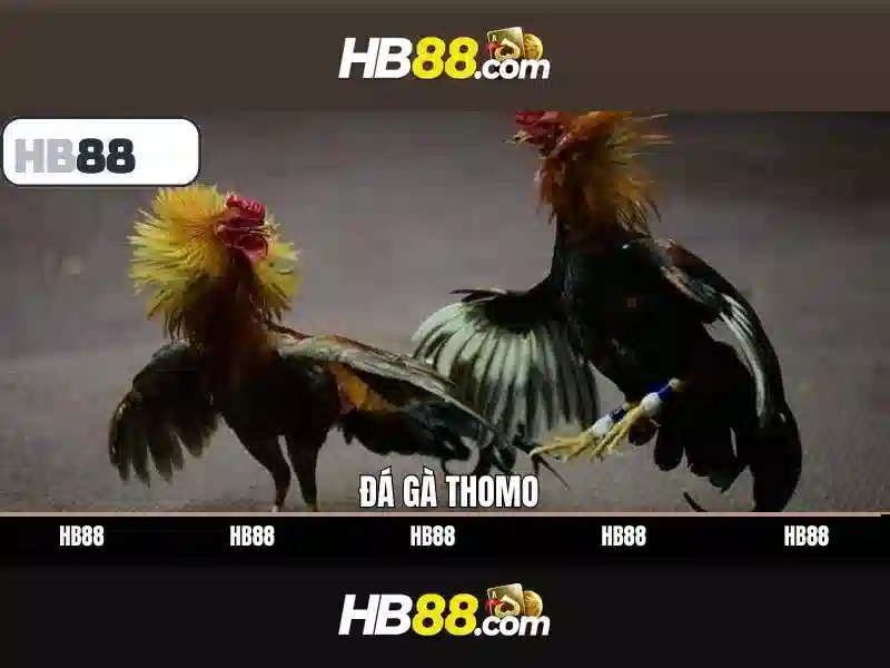 Quy trình bảo mật HB88