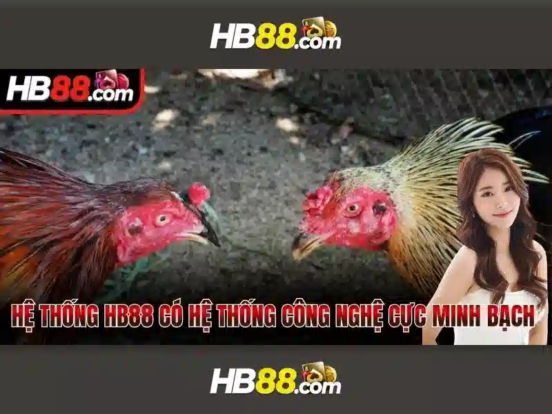 Dịch Vụ Giải Trí HB88