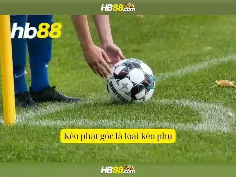 Trải nghiệm cá cược slot tại HB88