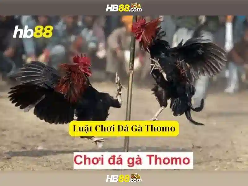 Đại lý HB88