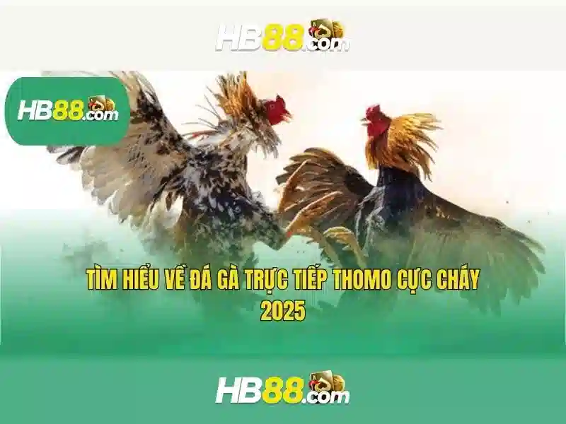 Tại Sao Nên Chọn HB88