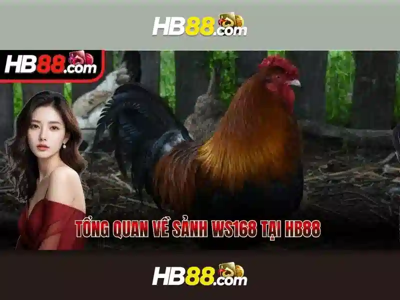 Khám phá các trò chơi slot tại HB88 hiện đang mở