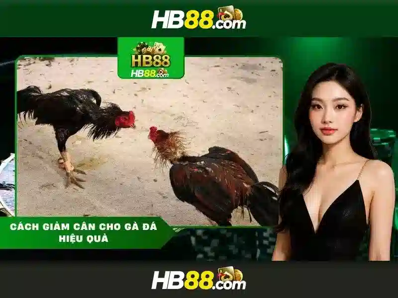 Ưu Điểm Nổi Bật Của Khuyến Mãi Slot hb88 Club