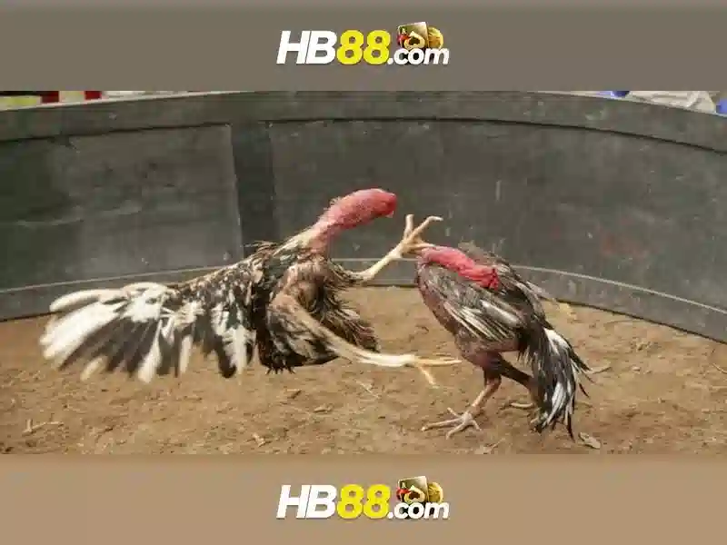 Tựa Game Slot HB88 Độc Quyền
