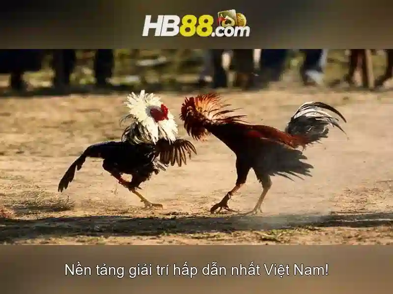 trải nghiệm cá cược
