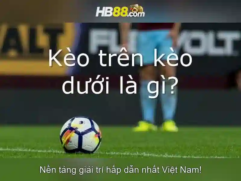 Ưu đãi hấp dẫn cho thành viên HB88