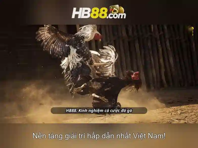 khuyến mãi HB88