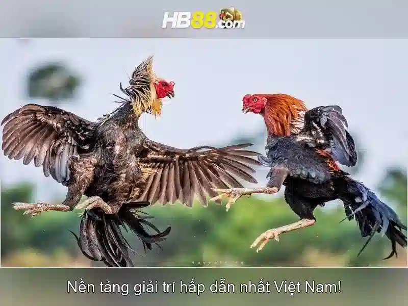 Giới Thiệu Về HB88