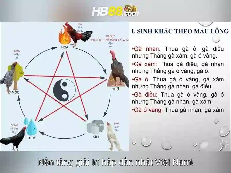 HB88 uy tin so 1