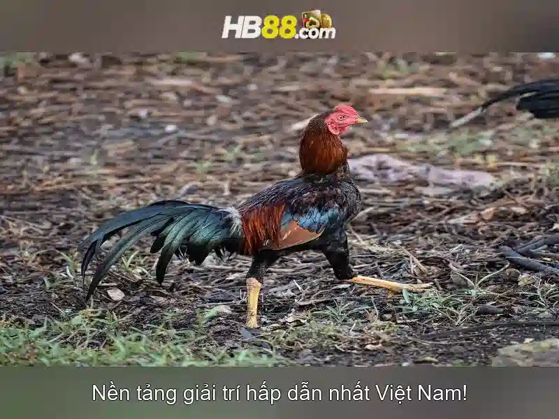 Trải nghiệm người dùng slot trực tiếp