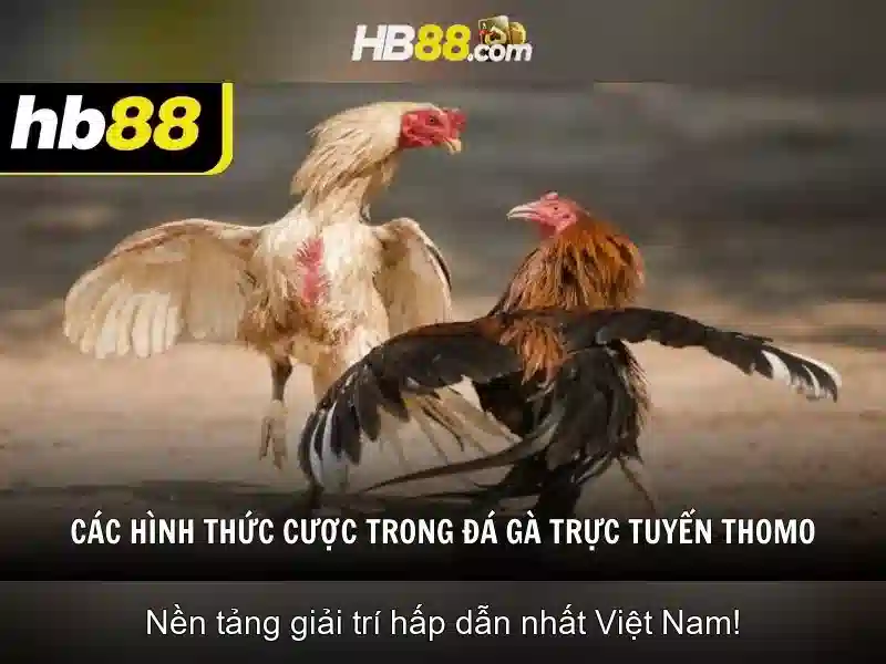 ưu điểm sảnh slot hb88