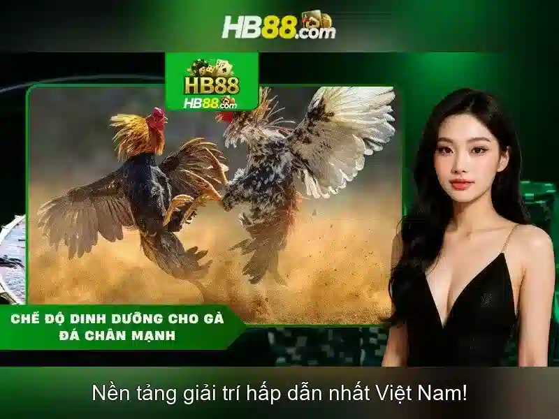 Cách chơi slot hiệu quả