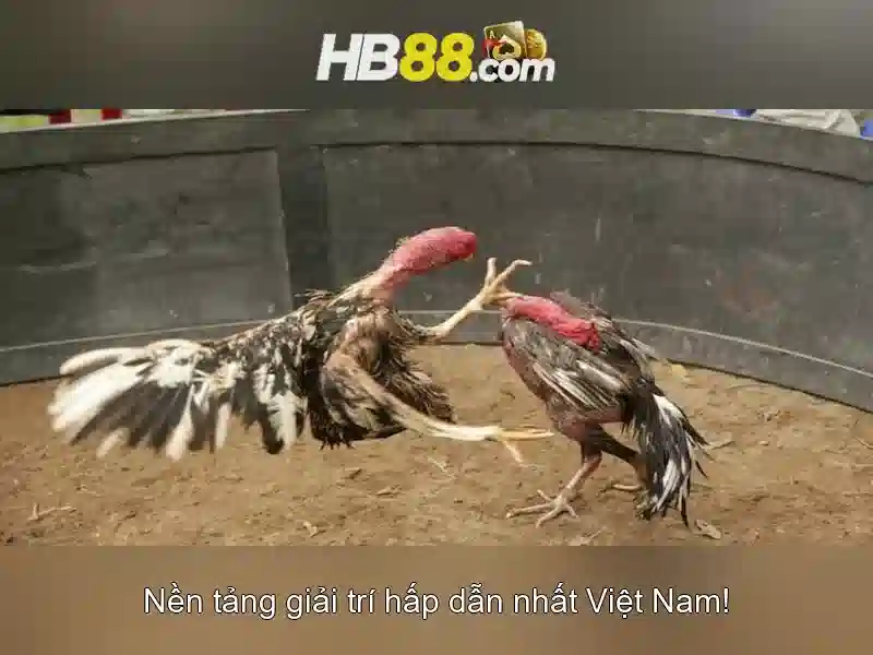 HB88 Casino – Trải Nghiệm Sòng Phẳng Và Đa Dạng Trong Thế Giới Slot 2026