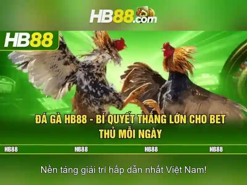 Hướng Dẫn Rút Tiền Tại HB88