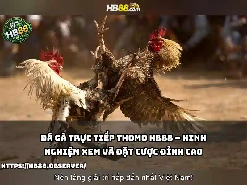 Các Loại Trò Chơi Xổ Số