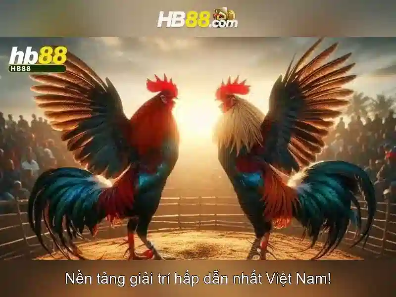 Tối ưu hóa ngân sách cá cược