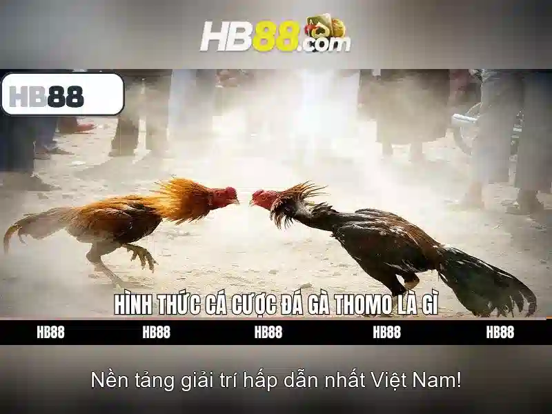 Quy trình đăng ký HB88